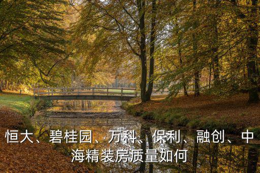 廣東保利的精裝房質量怎么樣,保利的精裝房怎么樣