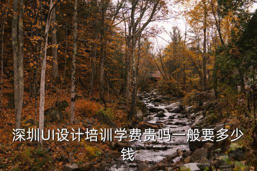 深圳UI設計培訓學費貴嗎一般要多少錢