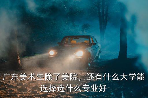 廣東美術生除了美院，還有什么大學能選擇選什么專業好