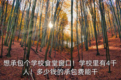 想承包個學校食堂窗口！學校里有4千人！多少錢的承包費能干
