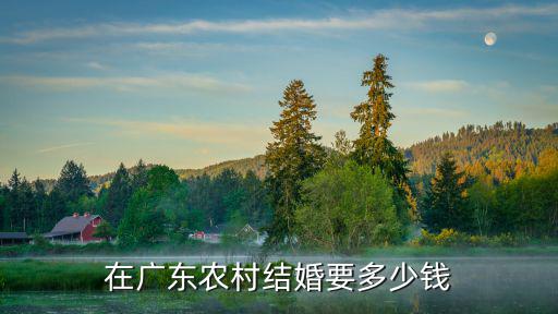 在廣東農(nóng)村結(jié)婚要多少錢(qián)