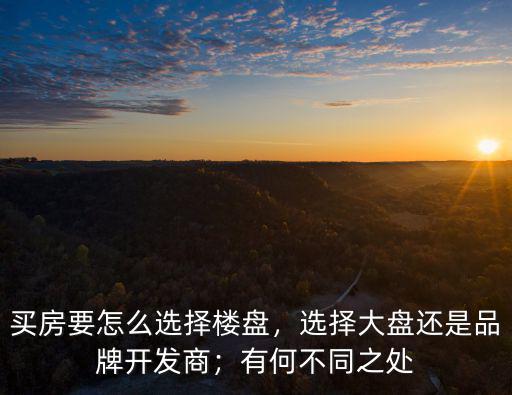 買(mǎi)房要怎么選擇樓盤(pán)，選擇大盤(pán)還是品牌開(kāi)發(fā)商；有何不同之處