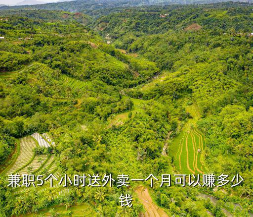 深圳外賣一個月能拿多少錢,能拿多少錢一月