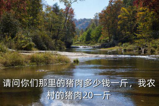 請(qǐng)問(wèn)你們那里的豬肉多少錢(qián)一斤，我農(nóng)村的豬肉20一斤