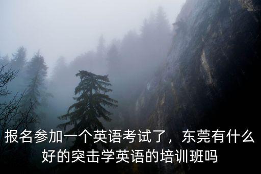 報名參加一個英語考試了，東莞有什么好的突擊學英語的培訓班嗎