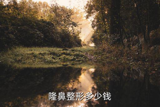 隆鼻多少錢快xuan廣州美萊,隆鼻整形多少錢