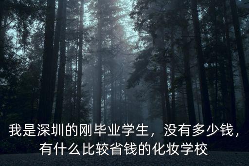 深圳化妝學校的培訓費用是多少,我是深圳的剛畢業學生