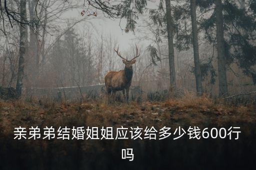 親弟弟結(jié)婚姐姐應(yīng)該給多少錢600行嗎