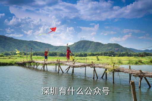 深圳網(wǎng)警公眾號是多少,深圳有什么公眾號