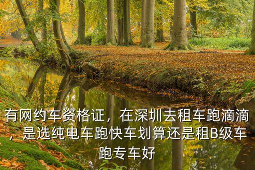 有網約車資格證，在深圳去租車跑滴滴，是選純電車跑快車劃算還是租B級車跑專車好