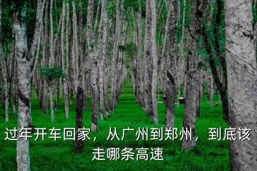 鄭州去廣州高速怎么走,到底該走哪條高速