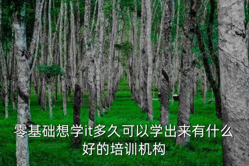 梅州好的零基礎學it多少錢,零基礎學IT好學嗎