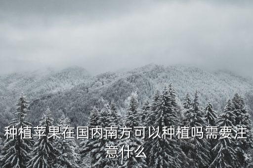 種植蘋果在國內南方可以種植嗎需要注意什么