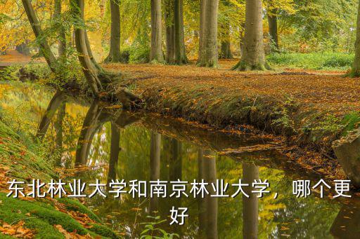 東北林業(yè)大學(xué)和南京林業(yè)大學(xué)，哪個更好