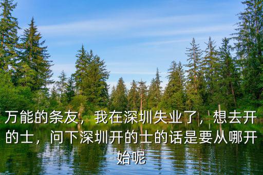 萬能的條友，我在深圳失業了，想去開的士，問下深圳開的士的話是要從哪開始呢