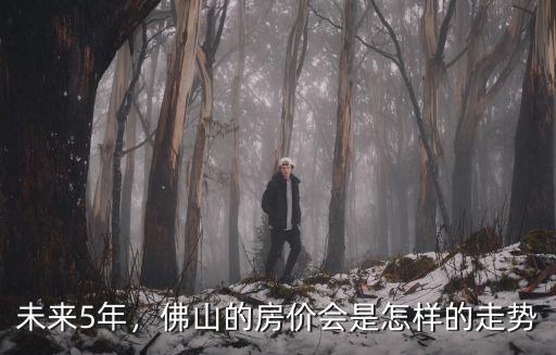 未來5年，佛山的房價會是怎樣的走勢
