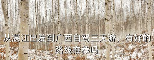 從湛江出發到廣西自駕三天游，有好的路線推薦嗎