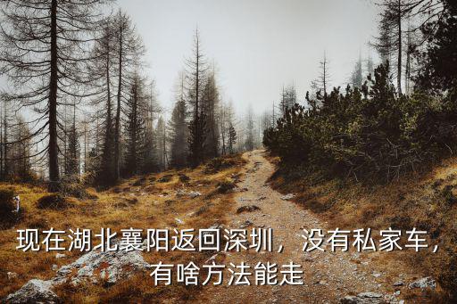 深圳到湖北襄樊不走高速怎么走,現在湖北襄陽返回深圳