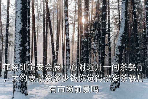 在深圳寶安會展中心附近開一間茶餐廳，大約要投資多少錢你覺得投資茶餐廳有市場前景嗎