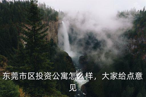 東莞市區(qū)投資公寓怎么樣，大家給點意見