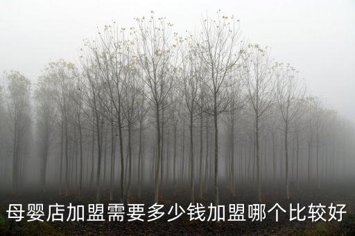 湛江知名母嬰連鎖加盟多少錢,母嬰店加盟需要多少錢