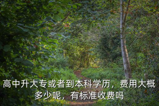 高中升大專或者到本科學歷，費用大概多少呢，有標準收費嗎