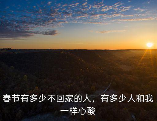 春節有多少不回家的人，有多少人和我一樣心酸