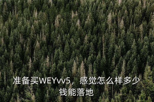 廣東vv落地價多少錢,多少錢能落地