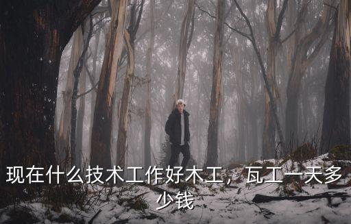 現(xiàn)在什么技術(shù)工作好木工，瓦工一天多少錢(qián)