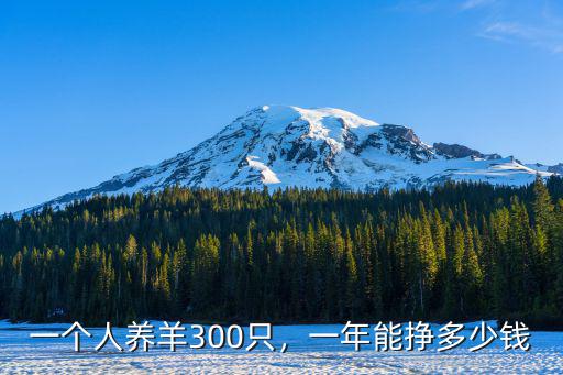 光廣東天地塊錢能掙多少錢,兼職云客服一月能掙多少錢