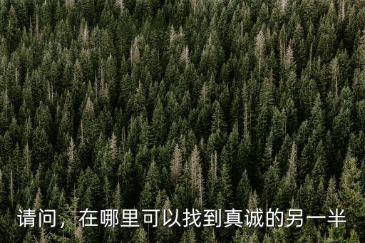 請(qǐng)問(wèn)，在哪里可以找到真誠(chéng)的另一半
