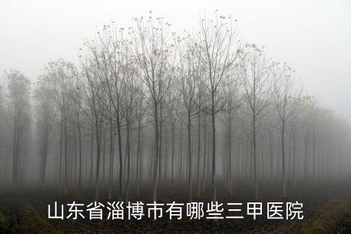 紹興市有多少家三甲醫(yī)院,山東省淄博市有哪些三甲醫(yī)院