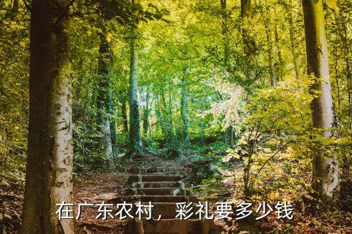 在廣東農村，彩禮要多少錢