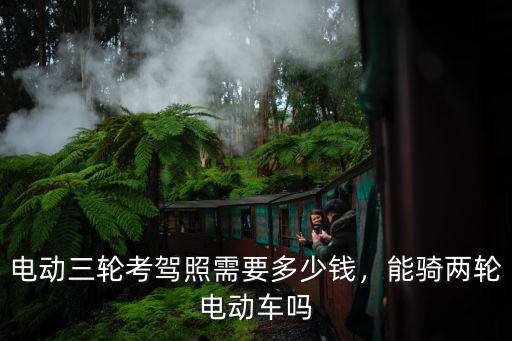 廣州電動車考證多少錢,電動三輪考駕照需要多少錢