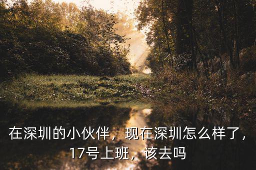 在深圳的小伙伴，現在深圳怎么樣了，17號上班，該去嗎