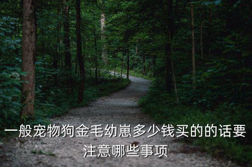 一般寵物狗金毛幼崽多少錢買的的話要注意哪些事項