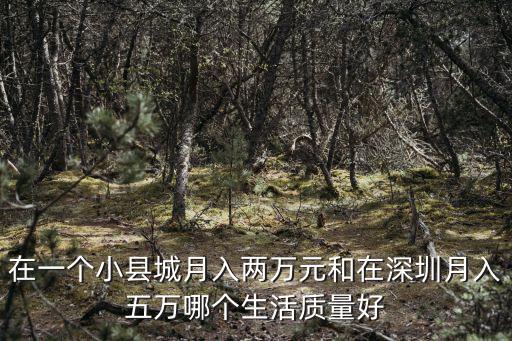 深圳月入五萬的人數有多少,深圳月薪過萬的人有多少