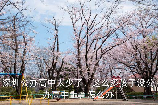 深圳多少個公辦高中,深圳公辦高中太少了