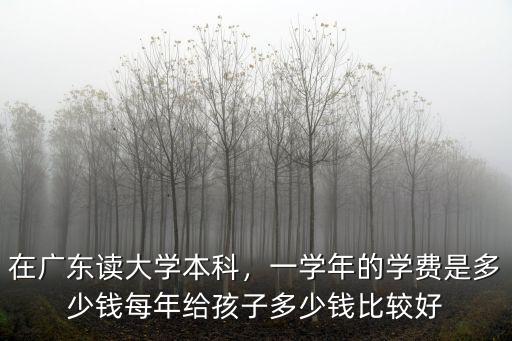 在廣東讀大學本科，一學年的學費是多少錢每年給孩子多少錢比較好