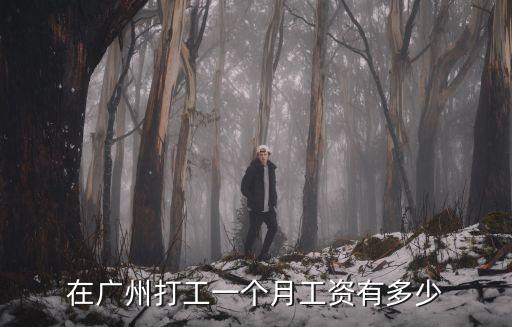 廣州政府四級技術員工資多少,在廣州打工一個月工資有多少