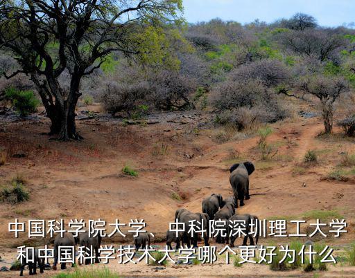 中國科學院深圳理工大學多少畝,中國科學院大學