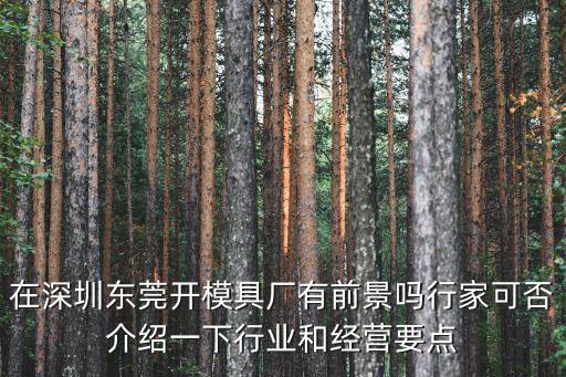 在深圳東莞開模具廠有前景嗎行家可否介紹一下行業和經營要點