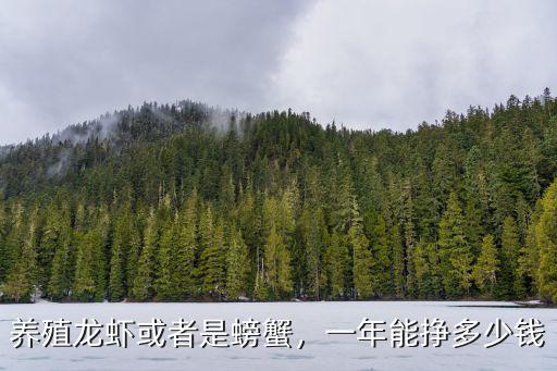 養(yǎng)殖龍蝦或者是螃蟹，一年能掙多少錢