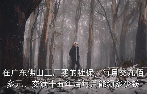 佛山社保交夠15年后能領多少錢,交滿十五年后每月能領多少錢