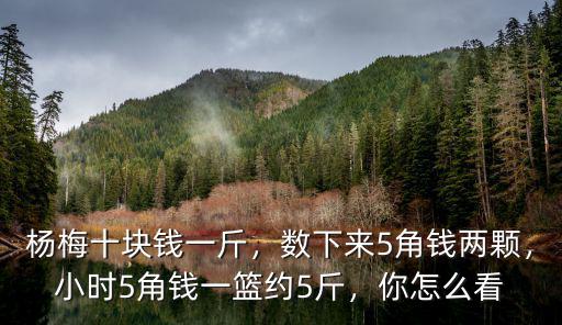 楊梅十塊錢一斤，數下來5角錢兩顆，小時5角錢一籃約5斤，你怎么看