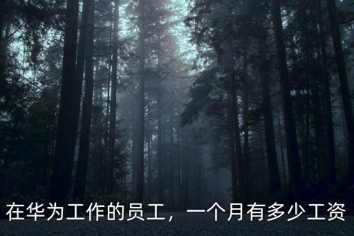 在華為工作的員工，一個月有多少工資