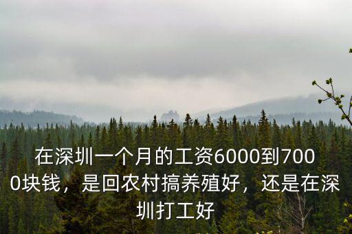 在深圳一個月的工資6000到7000塊錢，是回農(nóng)村搞養(yǎng)殖好，還是在深圳打工好