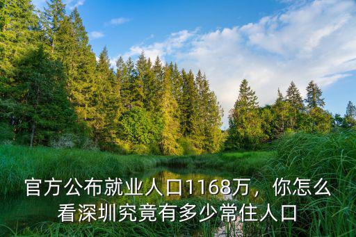 官方公布就業人口1168萬，你怎么看深圳究竟有多少常住人口