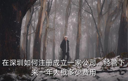 在深圳如何注冊成立一家公司，經營下來一年大概多少費用