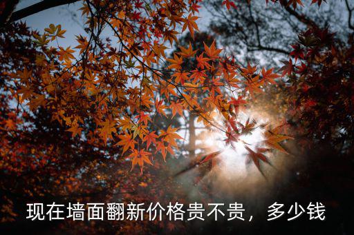 現(xiàn)在墻面翻新價格貴不貴，多少錢